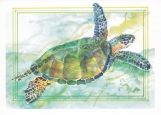 Sea Turtle Folded Note